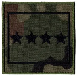 dystynkcja-starszy-chorazy-sztabowy-wz2010-us-22