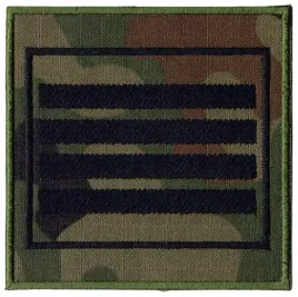 dystynkcja-plutonowy-wz2010-us-22