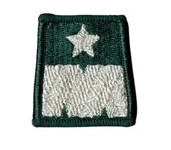 general-brygady-dystynkcja-beret-zielony-tloczony