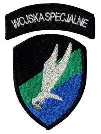wojska-specjalne-oznaka-na-mundur-wyjsciowy-naszywka