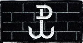 pw-polska-walczaca-10-x-5cm-naszywka-613r
