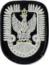 wojska-lotnicze-orzelek-lotniczy-naszywka-1136