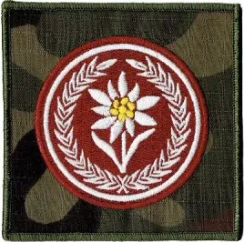 5-batalion-strzelcow-podhalanskich-szarotka-21bsp-naszywka-us-22-rzep