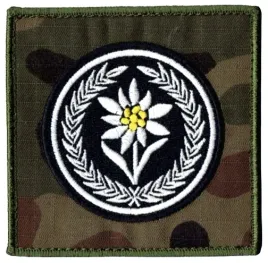 1-batalion-czolgow-szarotka-21bsp-naszywka-us-22-rzep