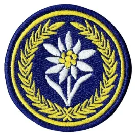 21-batalion-dowodzenia-21bsp-oznaka-rozpoznawcza-szarotka-naszywka
