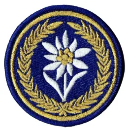 21-batalion-dowodzenia-szarotka-21bsp-naszywka-wyjsciowa-zlota