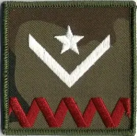 dystynkcja-wyjsciowa-zs-strzelec-stopien-mlodszy-chorazy-naszywka-na-rzep