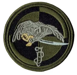 1-batalion-kawalerii-powietrznej-1-dywizjonu-szwolezerow-mjp-oznaka-polowa