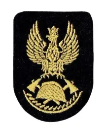 orzelek-psp-oznaka-na-czapke-beret-panstwowej-strazy-pozarnej-naszywka-haft