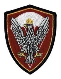 wojska-specjalne-desant-oznaka-rozpoznawcza-naszywka-wyjsciowa