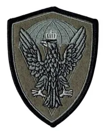 wojska-specjalne-desant-oznaka-rozpoznawcza-naszywka-polowa