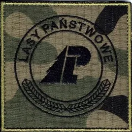 lasy-panstwowe-naszywka-1117r