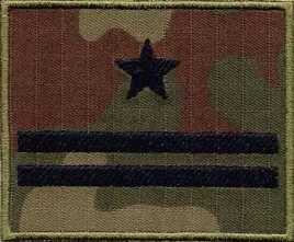 stopien-wz2010-us-22-major-naszywka-2174r