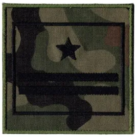 major-stopien-wz2010-us-22-naszywka-2617r