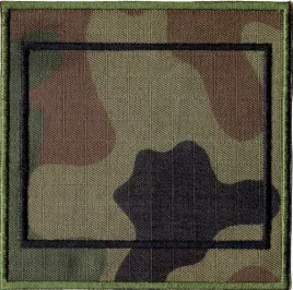dystynkcja-szeregowy-wz2010-us-22