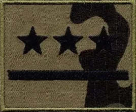 stopien-wz2010-us-22-porucznik-naszywka-2171r