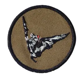 2-osrodek-radioelektroniczny-orel-oznaka-rozpoznawcza-naszywka-polowa-khaki