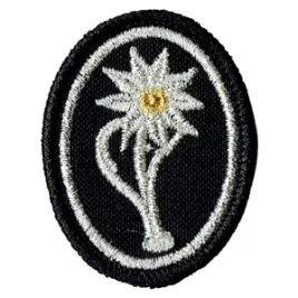 1-batalion-czolgow-21bsp-szarotka-oznaka-naszywka-na-beret