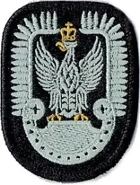 orzelek-lotniczy-naszywka-1139