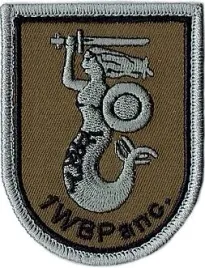 1-warszawska-brygada-pancerna-naszywka-polowa-1wbpanc-rzep