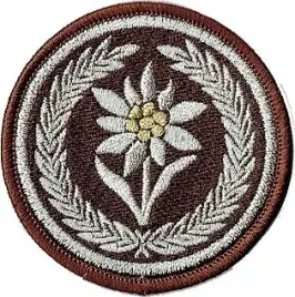 3-batalion-strzelcow-podhalanskich-szarotka-21bsp-naszywka-na-mundur