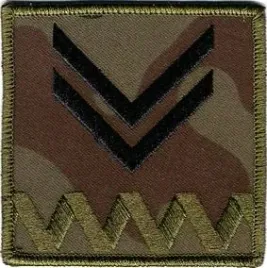 dystynkcja-polowa-zs-strzelec-stopien-starszy-sierzant-naszywka-na-rzep