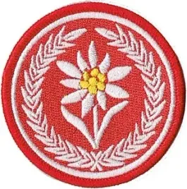 1-batalion-strzelcow-podhalanskich-szarotka-21bsp-oznaka-rozpoznawcza