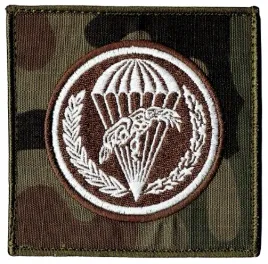 6-brygada-powietrznodesantowa-naszywka-18bbdsz-94x94mm-us-22-rzep