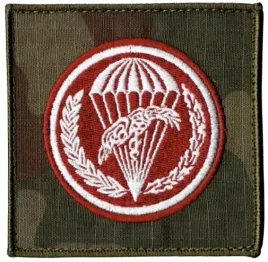 6-batalion-dowodzenia-krakow-oznaka-6bpd-wz2010-us-22-naszywka-94x94mm-rzep