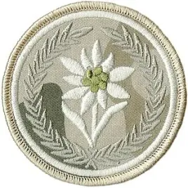 21-brygada-strzelcow-podhalanskich-szarotka-21bsp-naszywka-polowa-pustynna