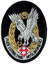 10-pulk-lotnictwa-mysliwskiego-oznaka-10plm-naszywka-rzep