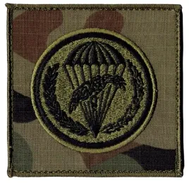 6-brygada-powietrznodesantowa-oznaka-polowa-naszywka-94x94mm-us-22-rzep