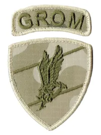 jw-2305-grom-oznaka-rozpoznawcza-naszywka-polowa-pustynna-rzep