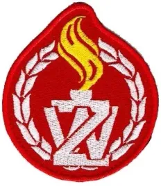 zandarmeria-wojskowa-oznaka-rozpoznawcza-zw-naszywka-galowa-rzep