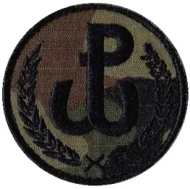 dwot-oznaka-polowa-wot-us-22-naszywka-405r