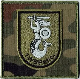 1-warszawska-brygada-pancerna-naszywka-polowa-1wbpanc-us-22-rzep