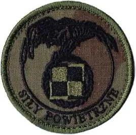 sily-powietrzne-oznaka-rozpoznawcza-wz2010-us-22