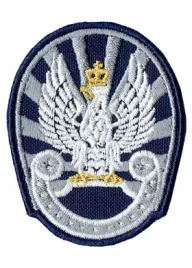 orzelek-kadetow-klas-mundurowych-i-wojskowych-naszywka-orzelek-kadetow-km