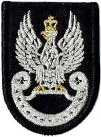 orzelek-wp-na-beret-wojska-specjalne-naszywka-1788