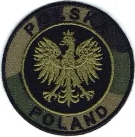 godlo-rp-polska-poland-wz2010-naszywka-642r