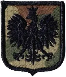 orzelek-godlo-rp-wz2010-us-21-naszywka-1781r