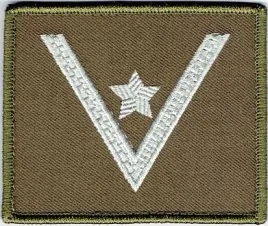dystynkcja-wp-na-kurtke-szu-szu-stopien-mlodszy-chorazy-naszywka-rzep