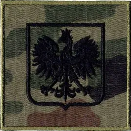 orzelek-godlo-rp-wz2010-us-22-naszywka-584r
