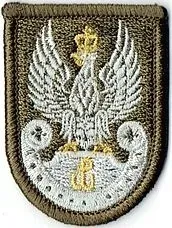 orzelek-wot-na-beret-oliwkowy-naszywka-1501