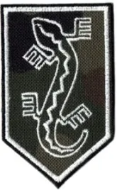 organizacja-wojskowa-zwiazek-jaszczurczy-ow-zj-nsz-zj-naszywka-wz93-szara