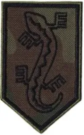 organizacja-wojskowa-zwiazek-jaszczurczy-ow-zj-nsz-zj-naszywka-wz93-czarna