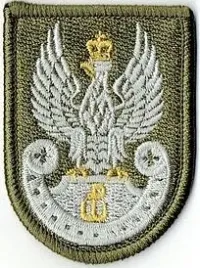 orzelek-wot-na-beret-oliwkowy-naszywka-1439