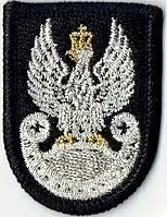 naszywka-orzelek-wp-na-beret-czarny-tloczony-1402
