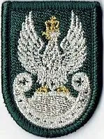 naszywka-orzelek-wp-na-beret-tloczony-zielony-1400