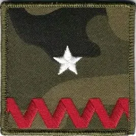 dystynkcja-wyjsciowa-zs-strzelec-stopien-chorazy-naszywka-na-rzep